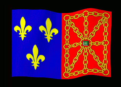 belle isle flag